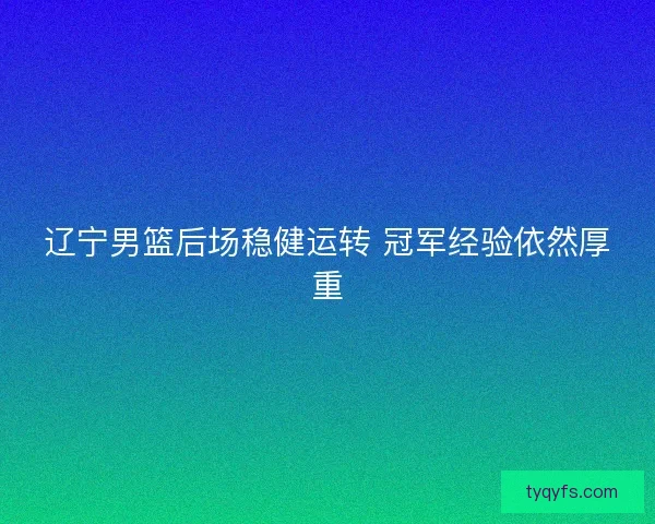 辽宁男篮后场稳健运转 冠军经验依然厚重